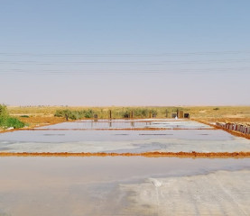 07527527 (1) (2).jpg